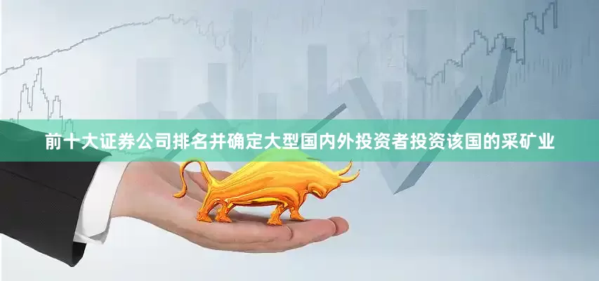 前十大证券公司排名并确定大型国内外投资者投资该国的采矿业